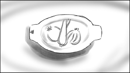 knorr f45.jpg knorr f45.jpg